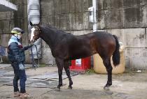 Ǫ�����屺 (PUREUN YEOJANGGUN) ����