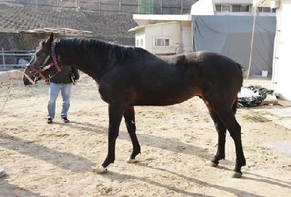 �۽�Ʈ���� ����