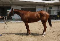 �̴�� (IDAERO) ����