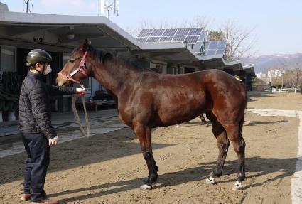 ��Ϸ��� ����