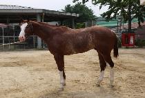 ������û�� (EONJENA CHEONGCHUN) ����