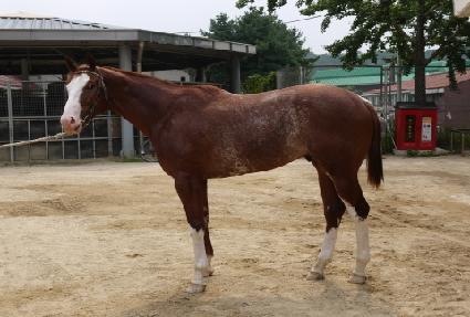 ������û�� ����