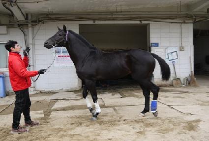 ��Ǫ��õ�� ����