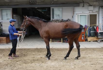 �����ȭ ����