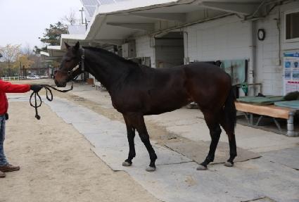 ��Ÿ�ʵ� ����