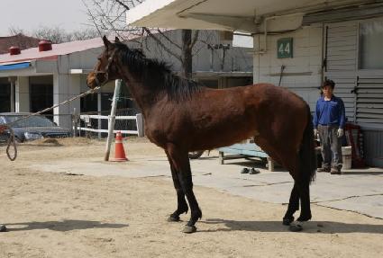 ��ũ����� ����