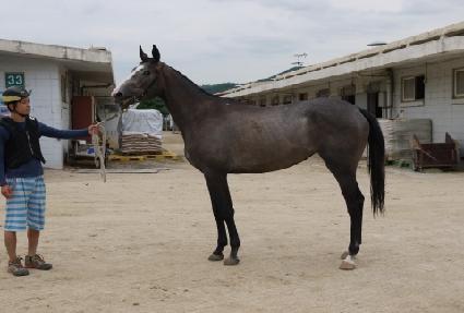 �ູ���� ����