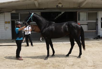 �����ŷ ����