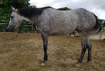 Ÿ�̾��ڸ� ����