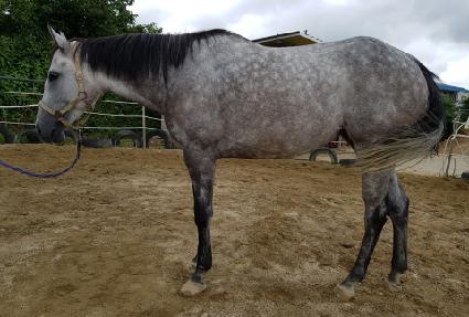 Ÿ�̾��ڸ� ����