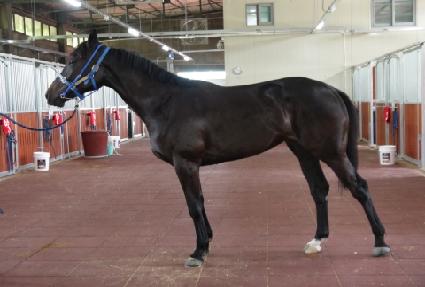 ȣũ���� ����