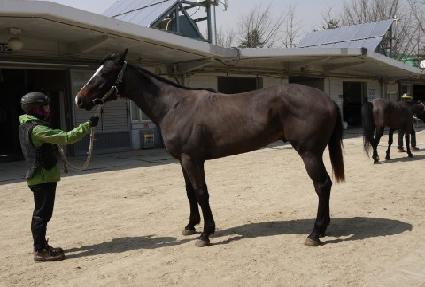 �޴Ϻ극�̽� ����