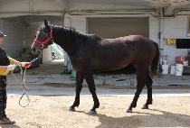 ����Ⱥ� (SPECIAL BIG C) ����