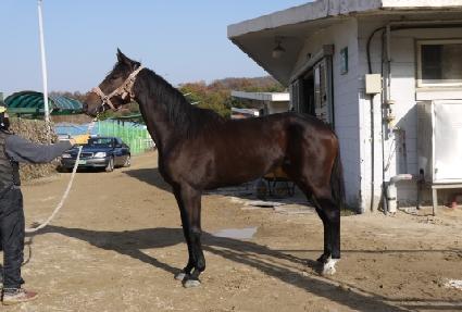 ��Ʈ���� ����