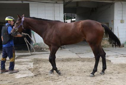 ���̽����� ����