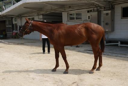 Ʈ�����Ŀ� ����