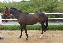 ���մ� (BAENGNYEON SONNIM) ����