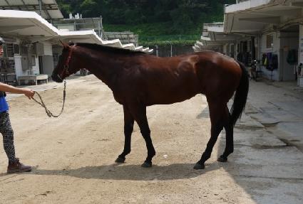 �������� ����