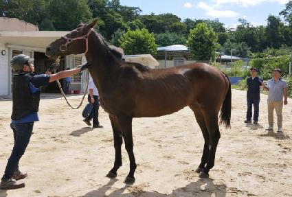 ��Ÿ��ƽ��� ����