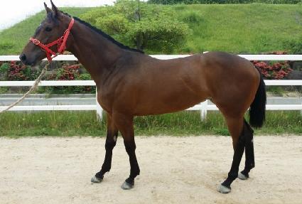 ��Ÿ��� ����