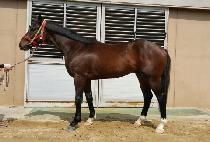 ��������� (SAMJEONG AGAIN) ����