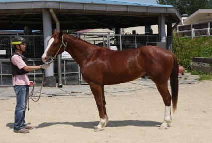 û����� ����