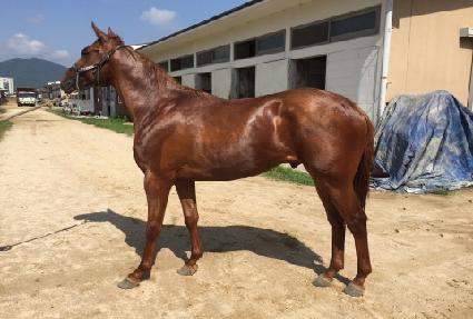 ������Ŭ���� ����