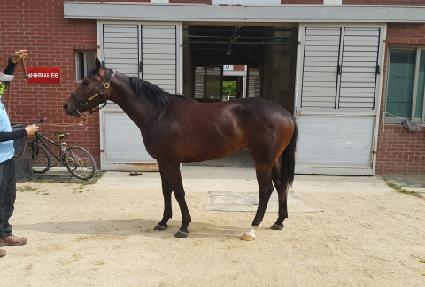 ��翡���� ����