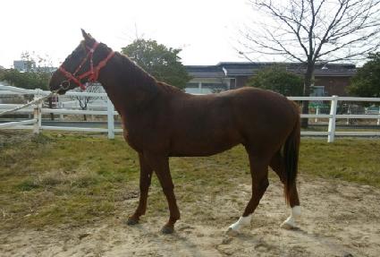 ������ ����