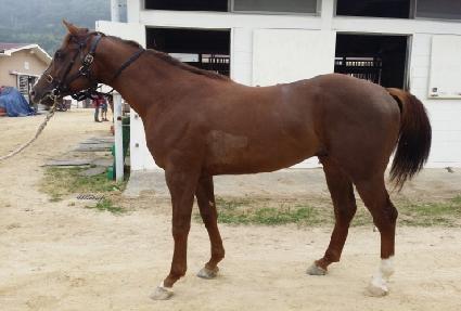 ��ĭ�ͺ��� ����