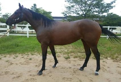 ��ǳ������ ����