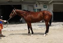 �ǿ����� (PIESEU ONE) ����