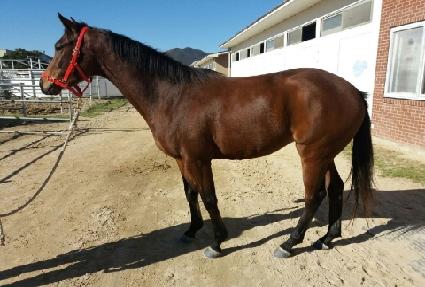 �Ƹ��� ����