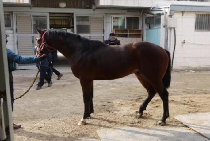 �ο��ְ� ����