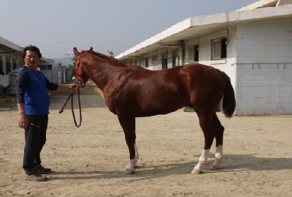 �÷���Ĺ ����