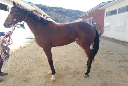 �޴������� ����