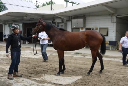 ���ǽ��� ����