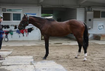 ����Ÿ�׷� ����