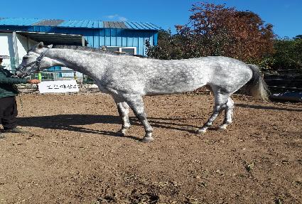 ��ȣ���屺 ����