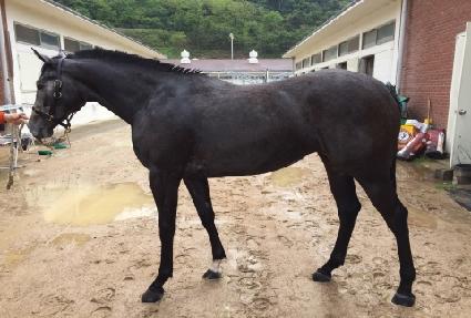 �����۽�Ʈ ����