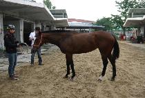 �θ��� (DURGA) ����