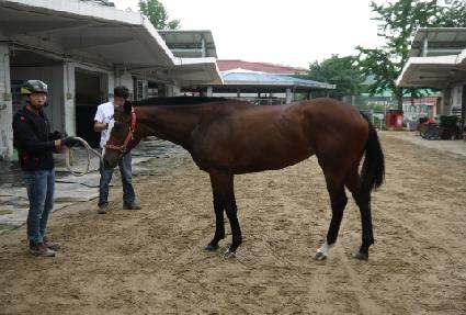 �θ��� ����