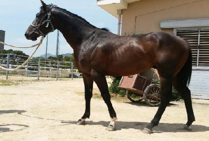 ��緺�� ����