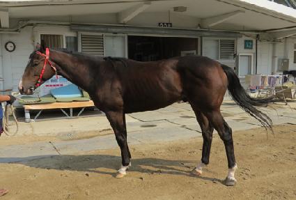 �Ӵ�Ʈ�� ����