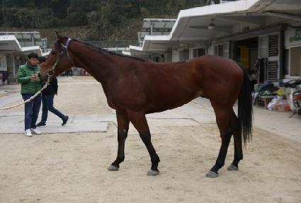 ����ķ�� ����