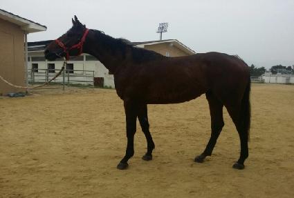 �������� ����