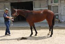 �ο��Ӵ� (ROYAL MONEY) ����