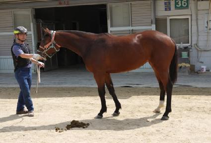 �ο��Ӵ� ����