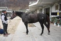 ��η� (HUIN DURU) ����