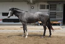 ���̼� (K SUN) ����